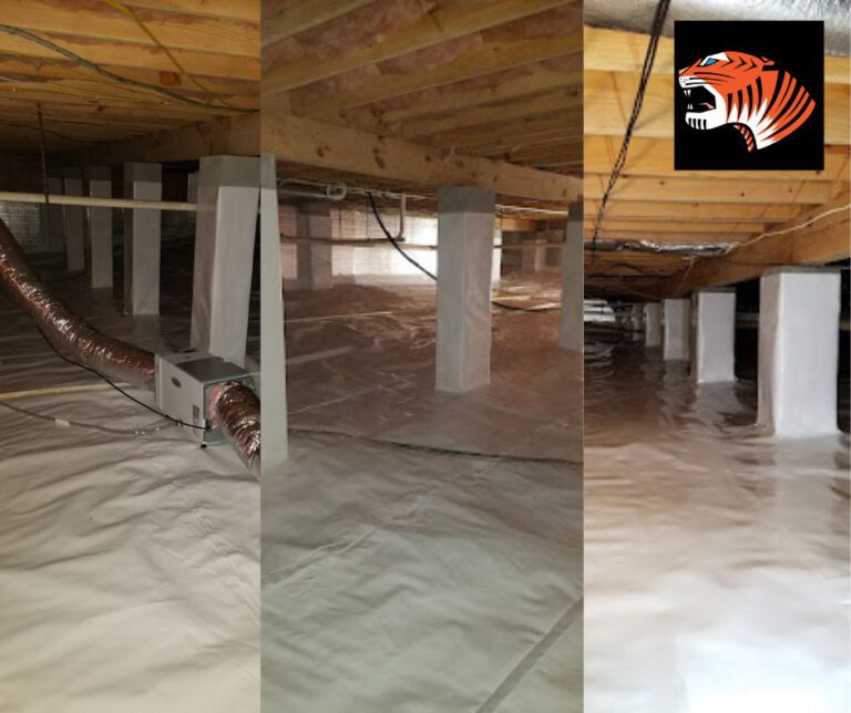 Effective Crawl Space Waterproofing: A Comprehensive Guide