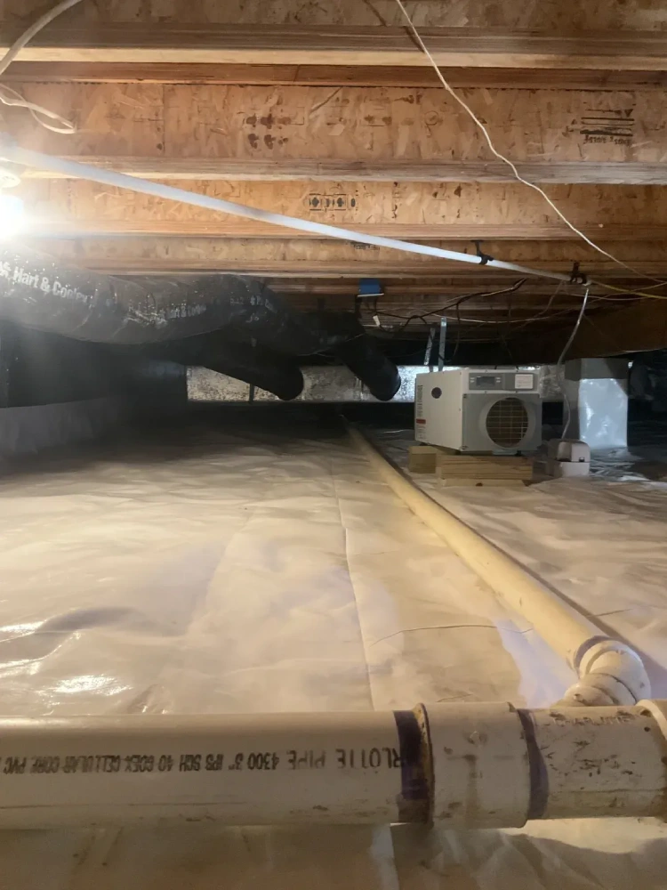 Home Improvement from Richmond, VA