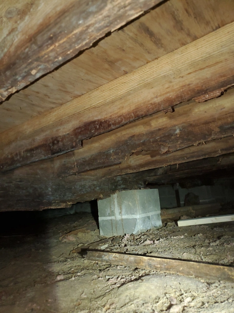 foundation repair