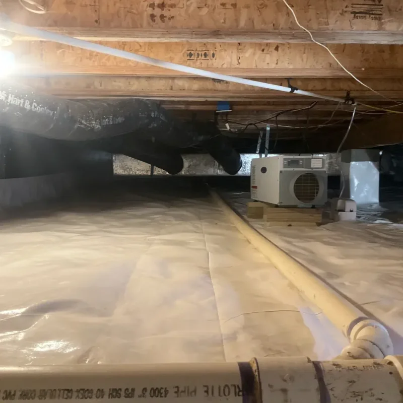 Tiger C Construction_Tige C Construction_IMG_3890