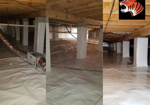 craw space waterproofing 1