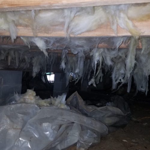 crawlspace repair chester va